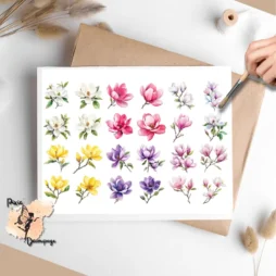 Twenty four images of magnolia flowers.