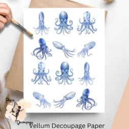 Twelve images of squids.