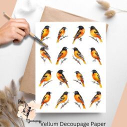 Sixteen images of Baltimore orioles.