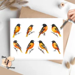 Eight images of Baltimore orioles.