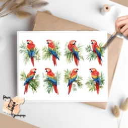 Eight images of parrots.