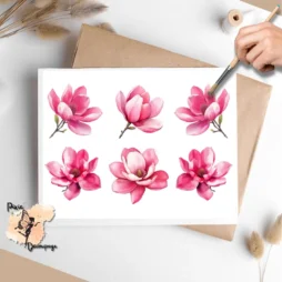 Six images of pink magnolias.