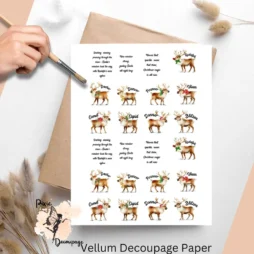 Images of all of Santa's reindeer.