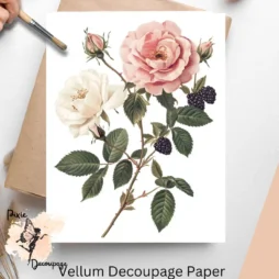 Image of a pink and a cream roses.