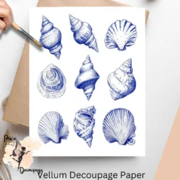 Nine images of seashells.