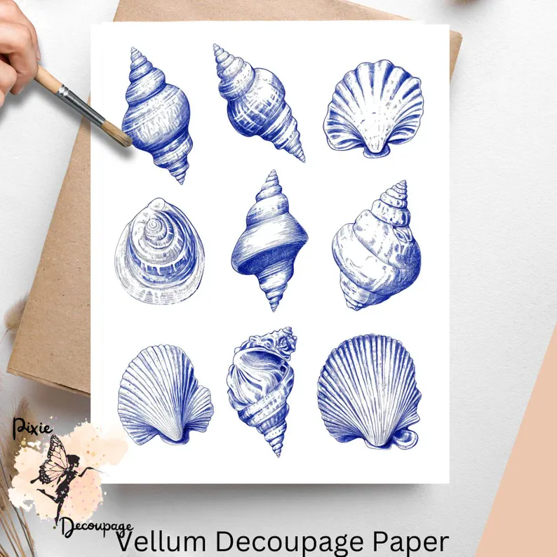 Nine images of seashells.