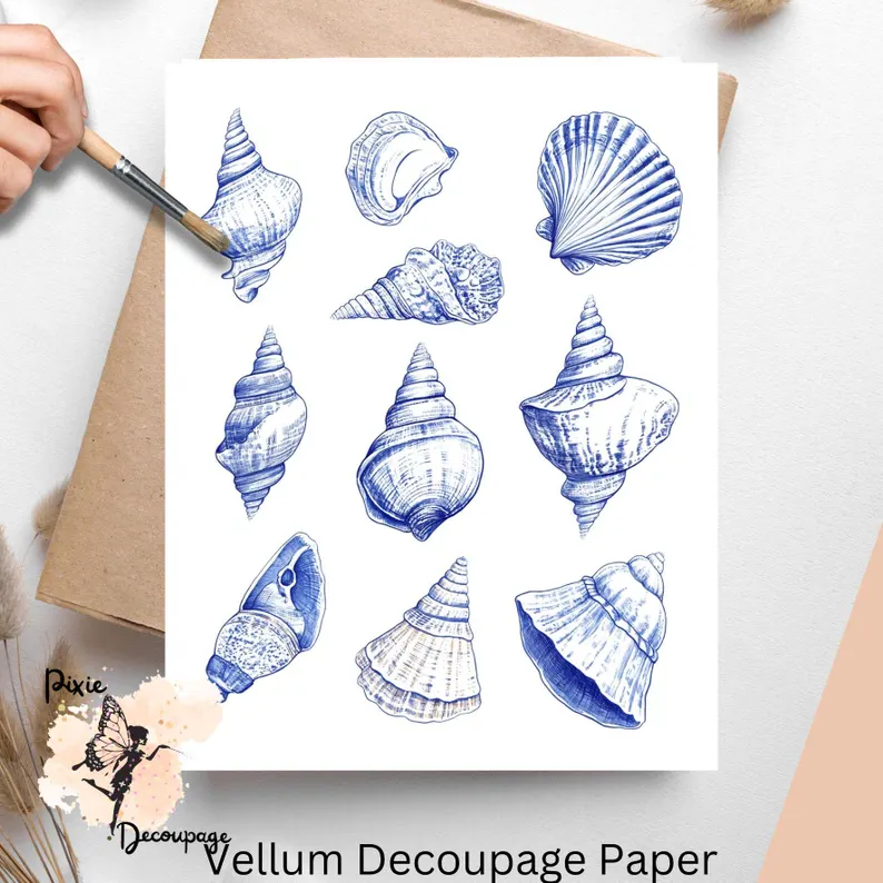 Nine images of seashells in blue ink.