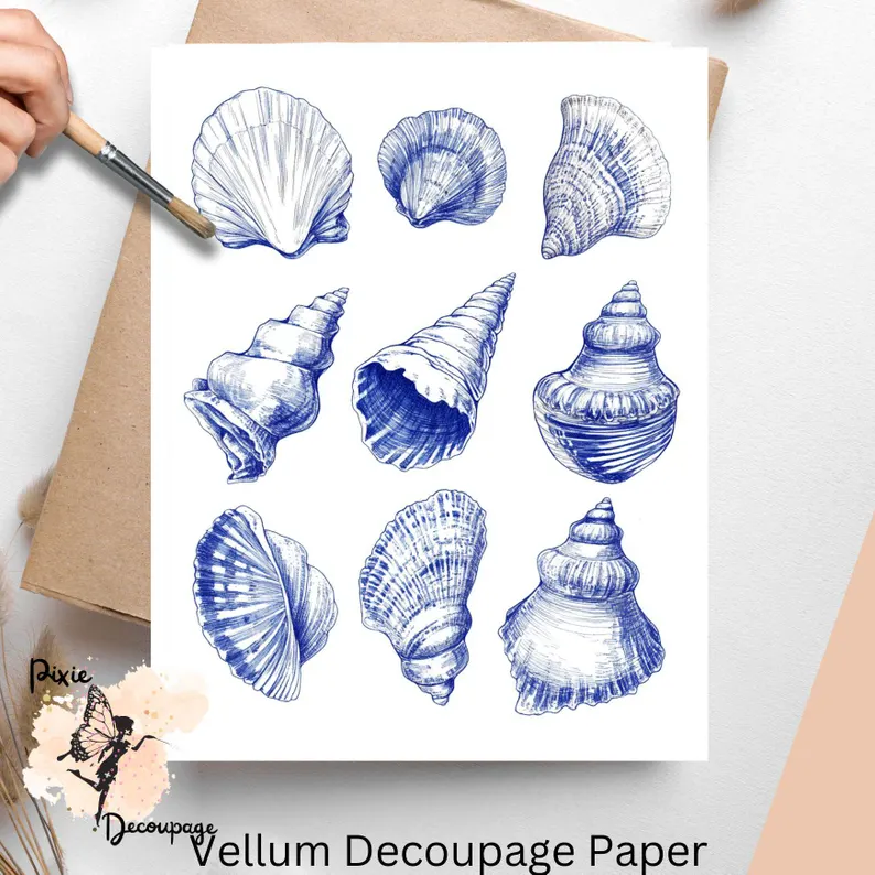 Nine seashell blue ink images.