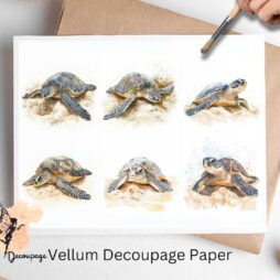 Six images of sea turtles.
