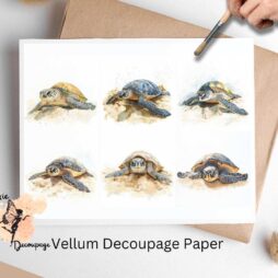 Six images of sea turtles.
