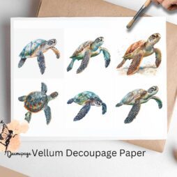 Six images of sea turtles.
