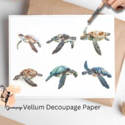 Six images of sea turtles.