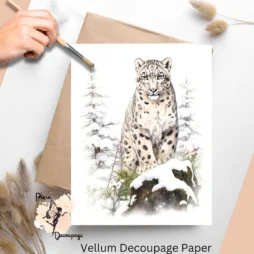 Image of a snow leopard.