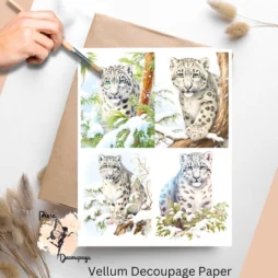 Four images of snow leopards.