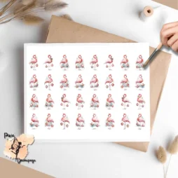 Thirty two images of flamingos.