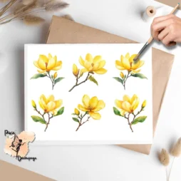 Six images of yellow magnolias.