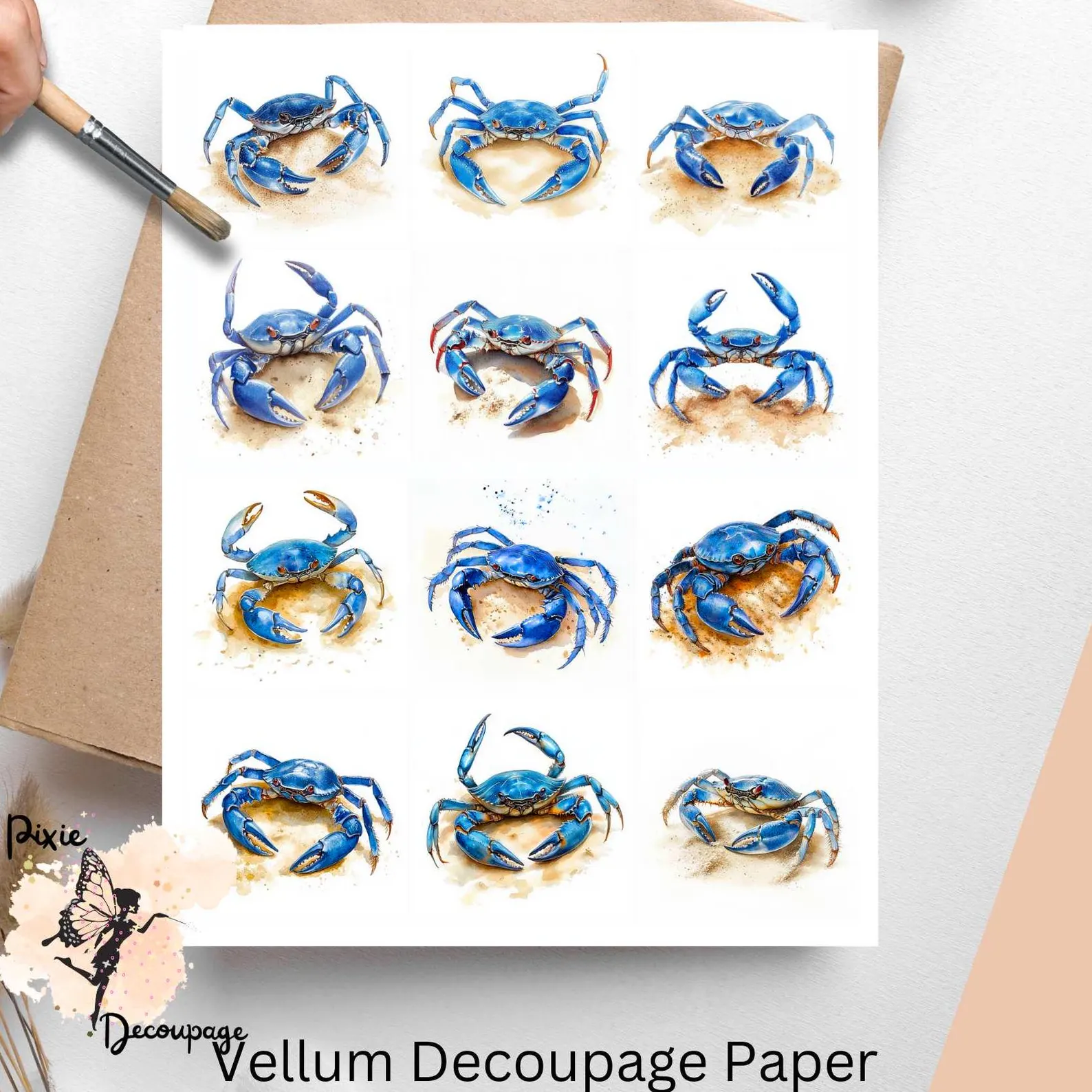 Twelve images of blue crabs.