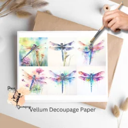 Six images of dragonflies.