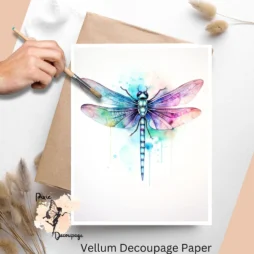 One image of a dragonfly.