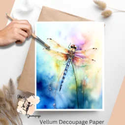 Image of a dragonfly.