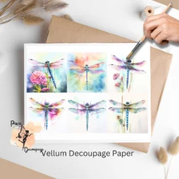 Six images of dragonflies.