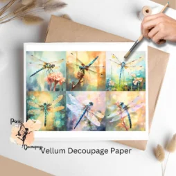 Six images of dragonflies.