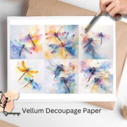 Six images of dragonflies,