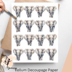 Sixteen images of elephants.