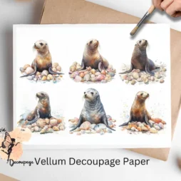 Six images of sea lions.