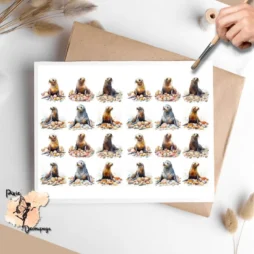 Twenty four images of sea lions.