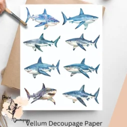 Eight images of sharks.