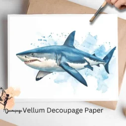 Image of a shark.