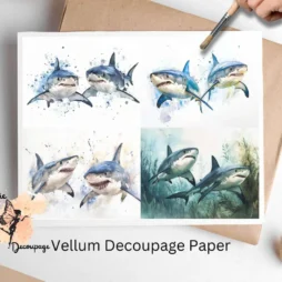 Four images of sharks.