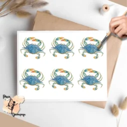 Six images of crabs.
