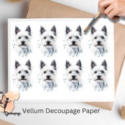 Eight images of white westies.