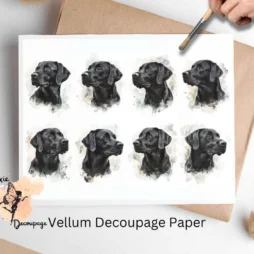 Eight images of black labs.