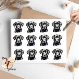Twelve images of black labs.