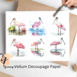 Six images of spoonbills.