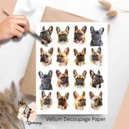 Sixteen images of French bulldogs.
