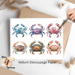 Six images of crabs.