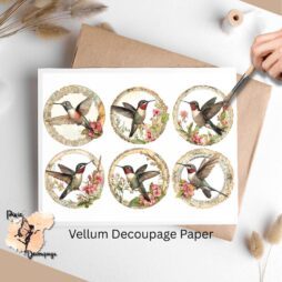 Six circle images of hummingbirds.