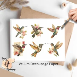 Six images of hummingbirds.