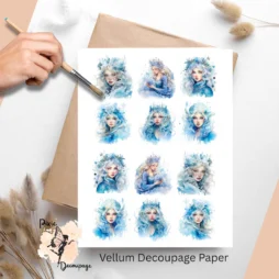 Twelve images of ice princesses.