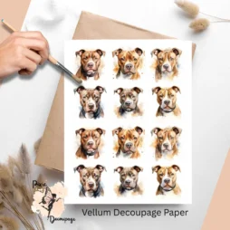 Twelve images of pitbulls.
