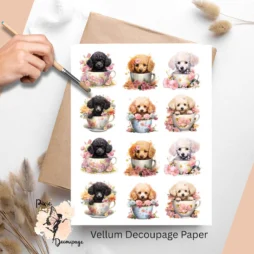 Twelve images of teacup poodles.