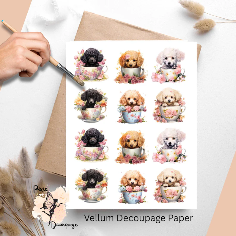 Twelve images of teacup poodles.