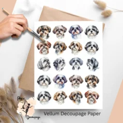 Twenty images of Shih Tzu.