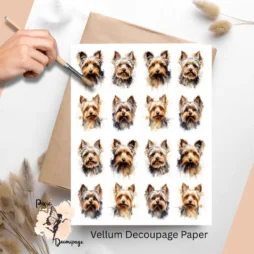 Sixteen images of yorkie.