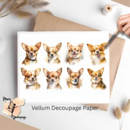 Eight images of chihuahuas.