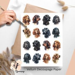 Sixteen images of cocker spaniels.